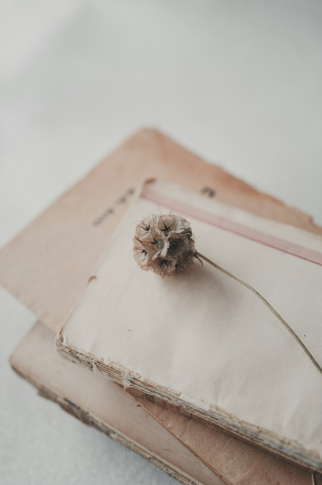 Stack of old documents tied with string
